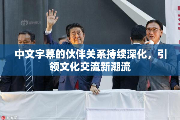 中文字幕的伙伴关系持续深化，引领文化交流新潮流