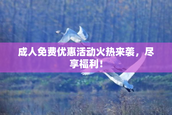 成人免费优惠活动火热来袭，尽享福利！
