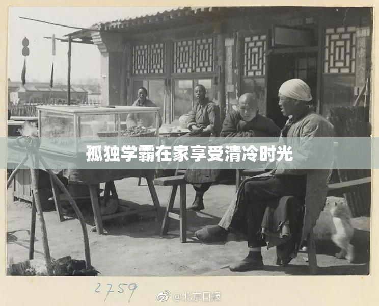 孤独学霸在家享受清冷时光