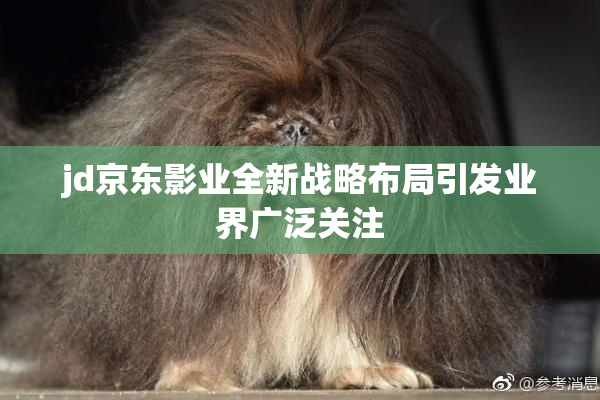 jd京东影业全新战略布局引发业界广泛关注