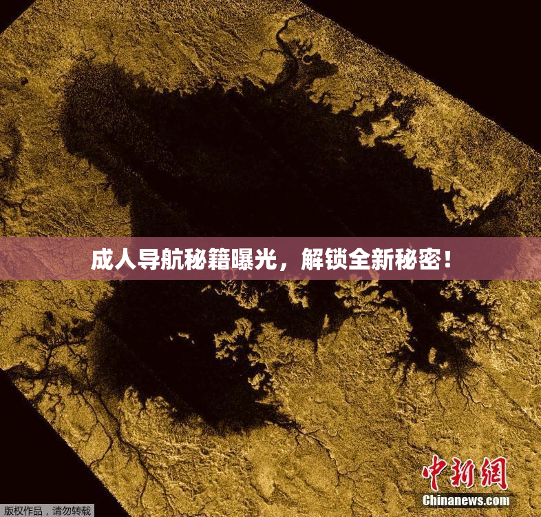 成人导航秘籍曝光，解锁全新秘密！
