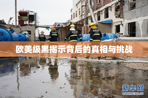 欧美级黑揭示背后的真相与挑战