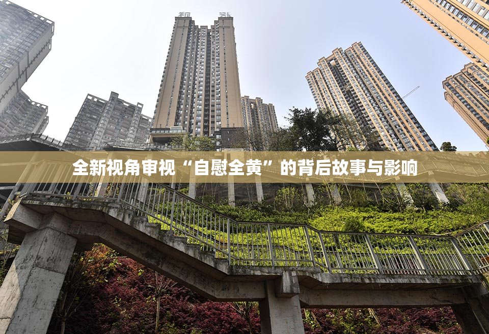 全新视角审视“自慰全黄”的背后故事与影响