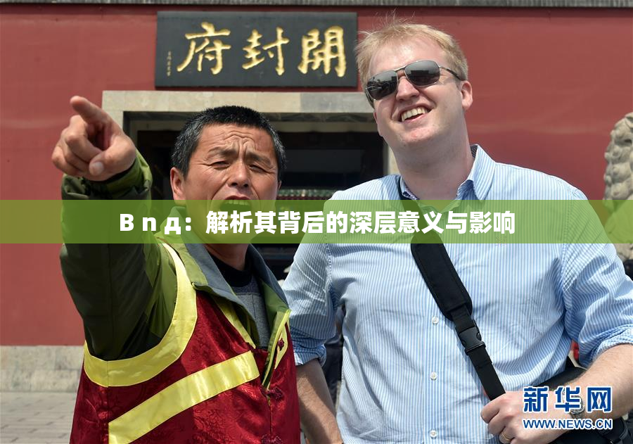 B n д：解析其背后的深层意义与影响