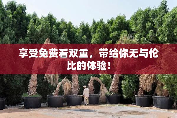 享受免费看双重，带给你无与伦比的体验！