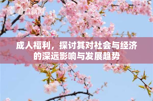 成人福利，探讨其对社会与经济的深远影响与发展趋势