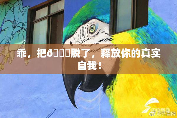 乖，把👙脱了，释放你的真实自我！