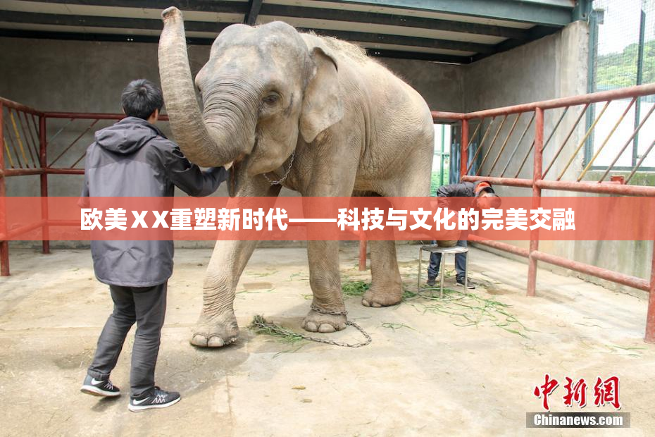 欧美ⅩX重塑新时代——科技与文化的完美交融