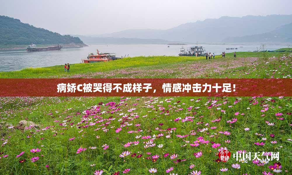病娇C被哭得不成样子，情感冲击力十足！