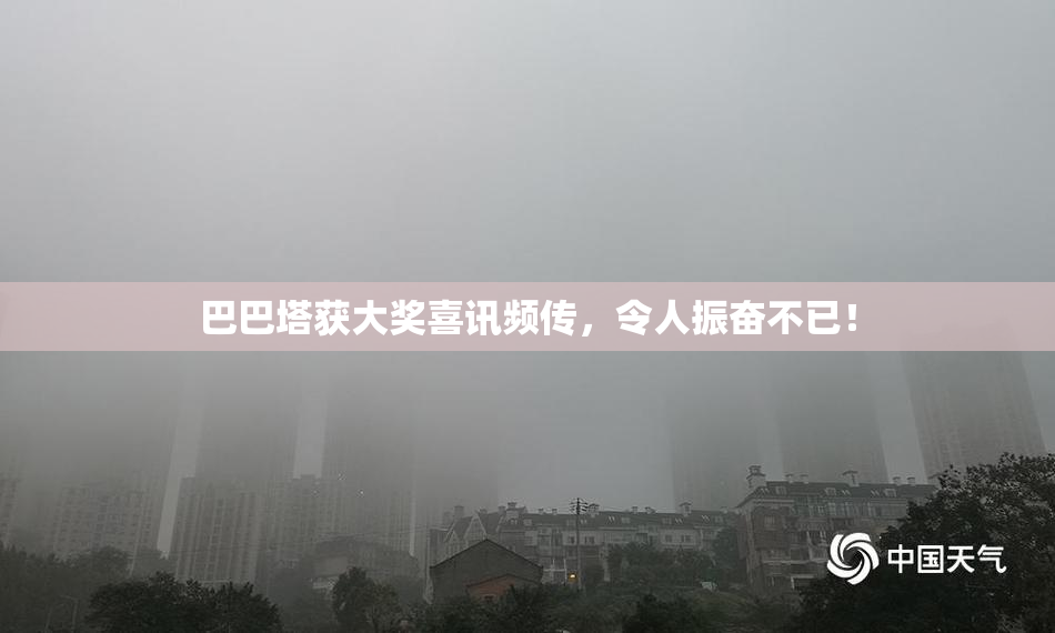 巴巴塔获大奖喜讯频传，令人振奋不已！