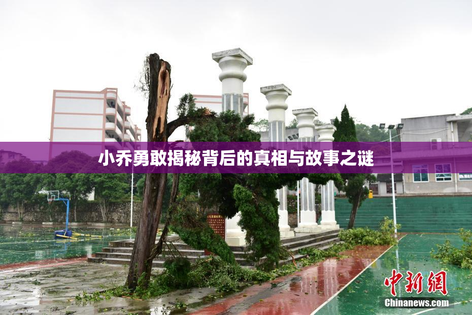 小乔勇敢揭秘背后的真相与故事之谜