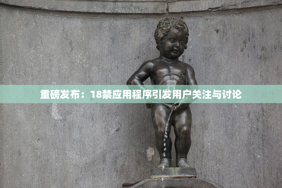 重磅发布：18禁应用程序引发用户关注与讨论