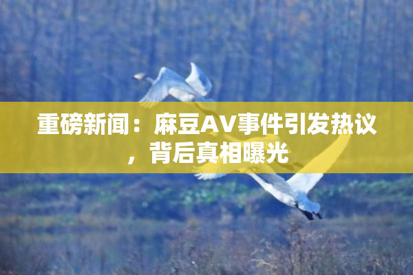 重磅新闻：麻豆AV事件引发热议，背后真相曝光