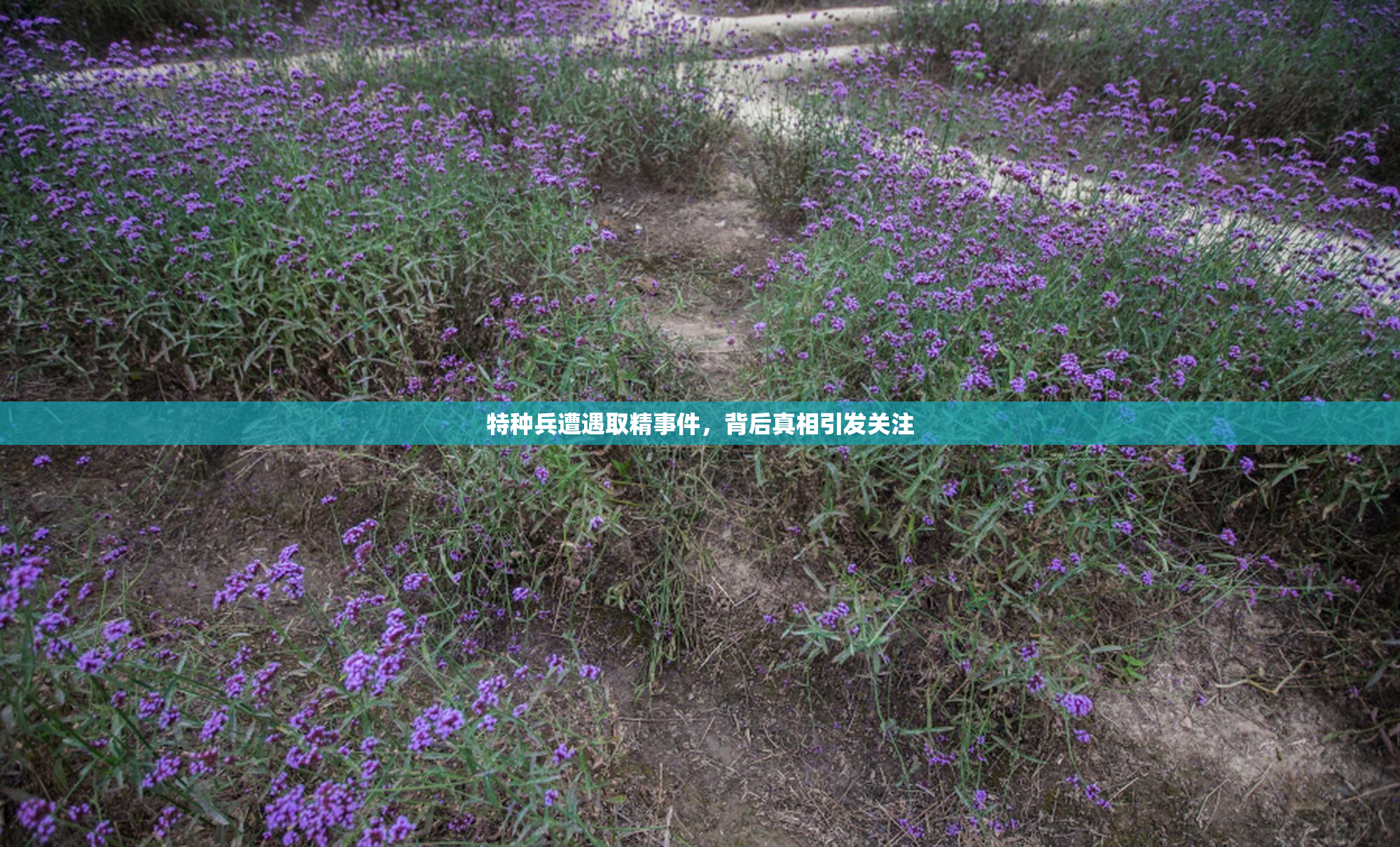 特种兵遭遇取精事件，背后真相引发关注