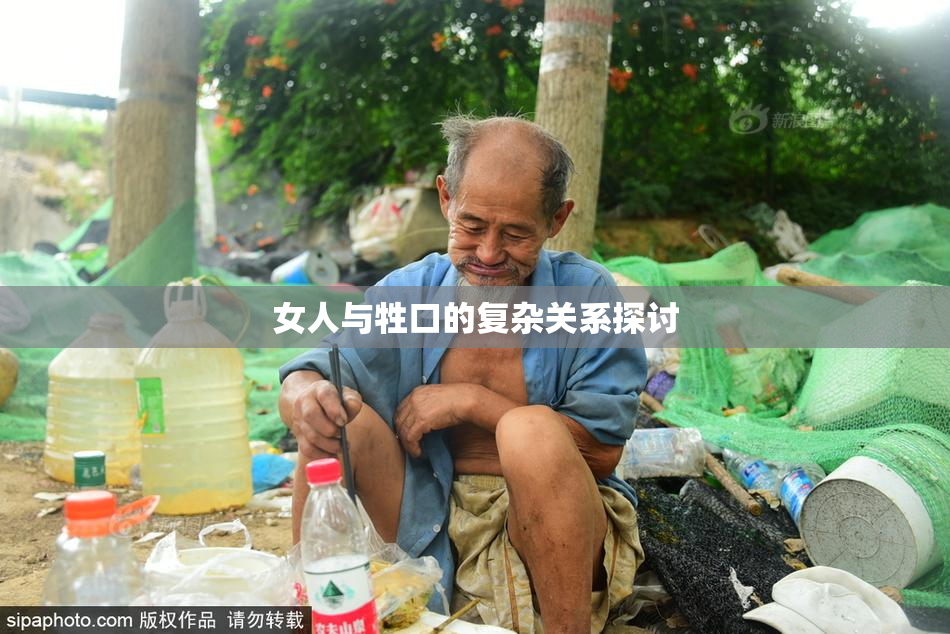 女人与牲口的复杂关系探讨