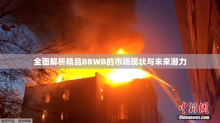 全面解析精品BBWB的市场现状与未来潜力
