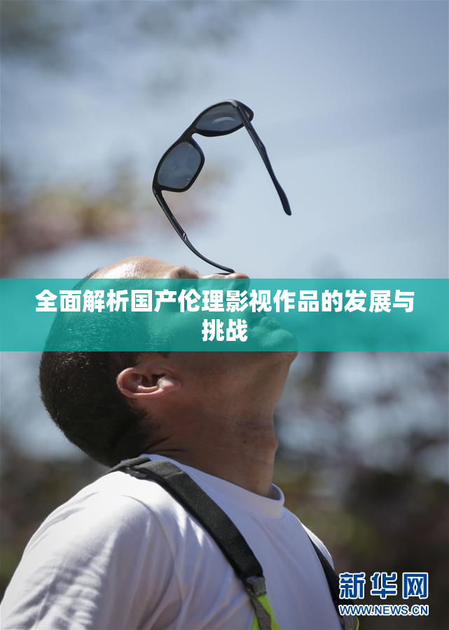 全面解析国产伦理影视作品的发展与挑战
