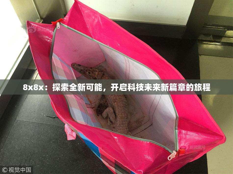 8x8x：探索全新可能，开启科技未来新篇章的旅程