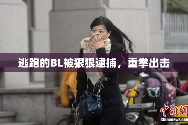 逃跑的BL被狠狠逮捕，重拳出击