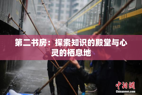 第二书房：探索知识的殿堂与心灵的栖息地