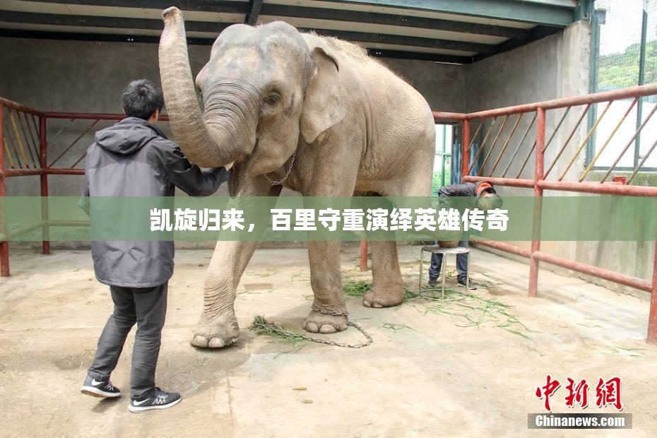 凯旋归来，百里守重演绎英雄传奇