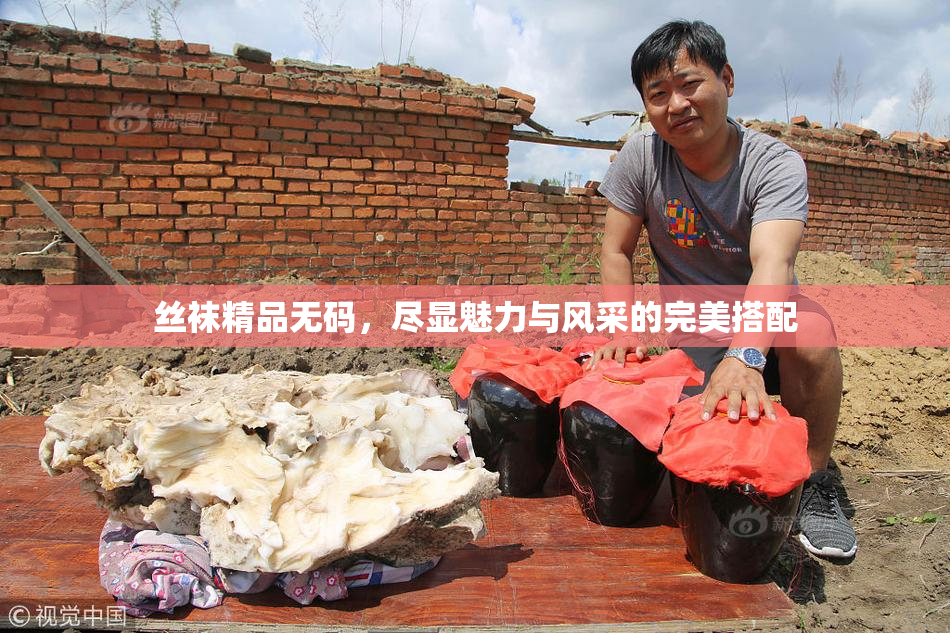 丝袜精品无码，尽显魅力与风采的完美搭配