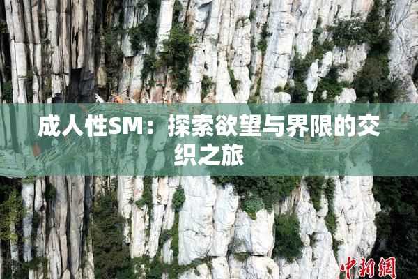 成人性SM：探索欲望与界限的交织之旅