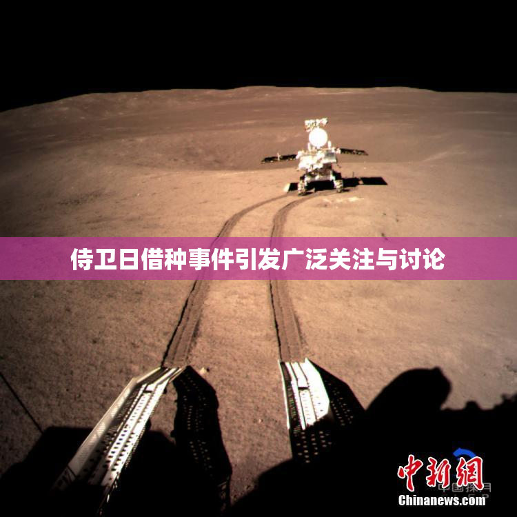 侍卫日借种事件引发广泛关注与讨论