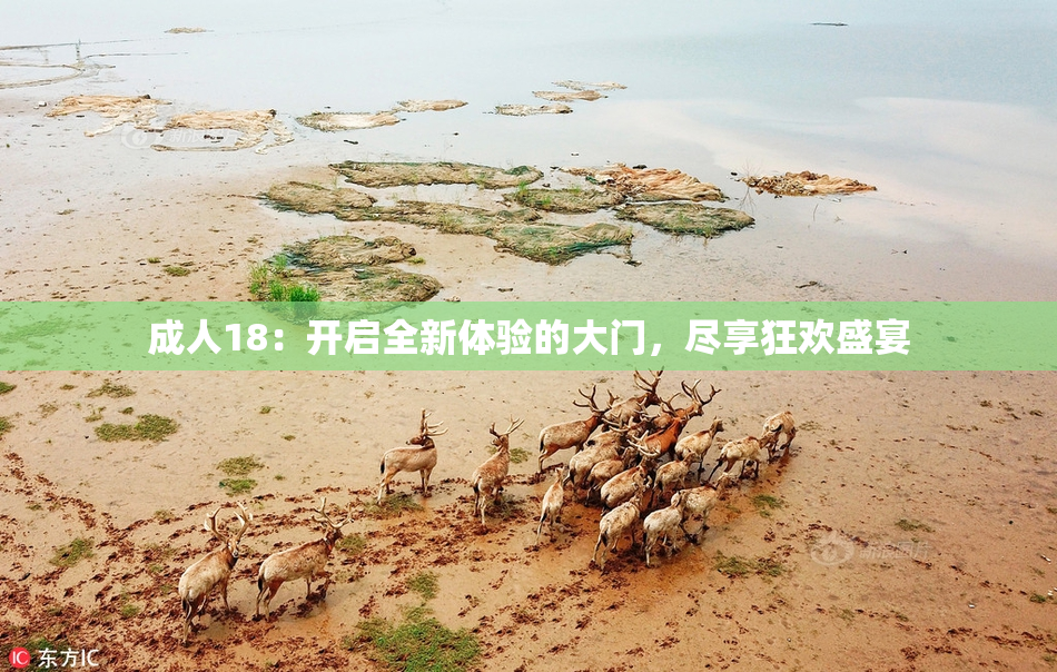 成人18：开启全新体验的大门，尽享狂欢盛宴