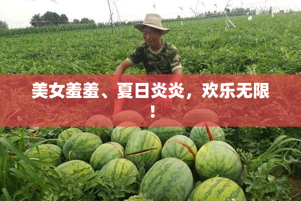 美女羞羞、夏日炎炎，欢乐无限！