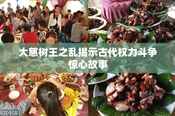 大慈树王之乱揭示古代权力斗争惊心故事