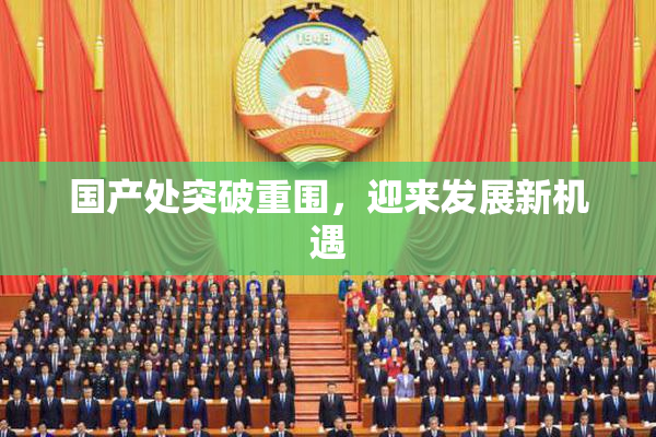 国产处突破重围，迎来发展新机遇