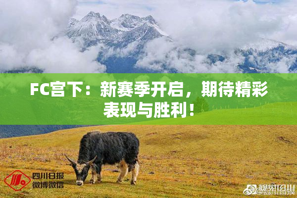 FC宫下：新赛季开启，期待精彩表现与胜利！