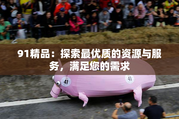 91精品：探索最优质的资源与服务，满足您的需求