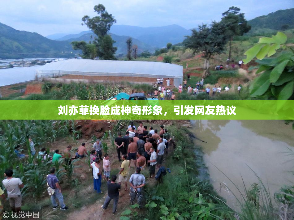 刘亦菲换脸成神奇形象，引发网友热议