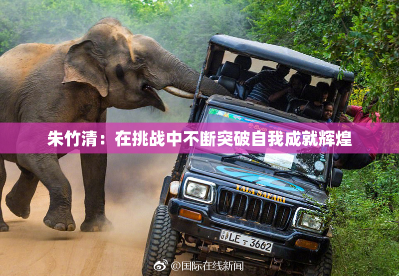 朱竹清：在挑战中不断突破自我成就辉煌
