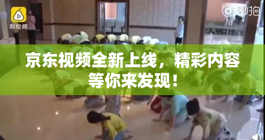 京东视频全新上线，精彩内容等你来发现！