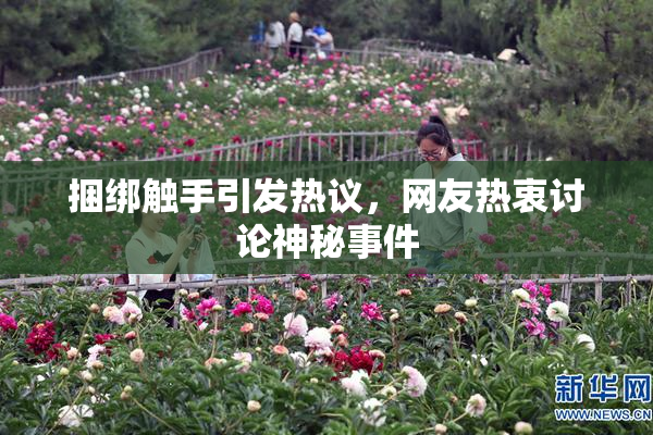 捆绑触手引发热议，网友热衷讨论神秘事件