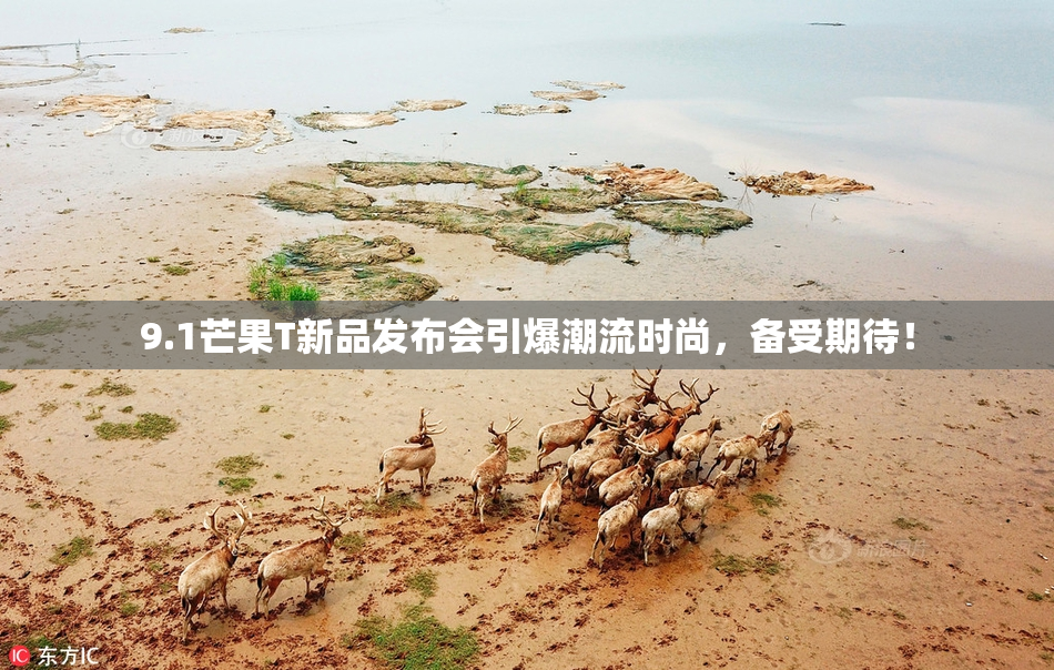 9.1芒果T新品发布会引爆潮流时尚，备受期待！