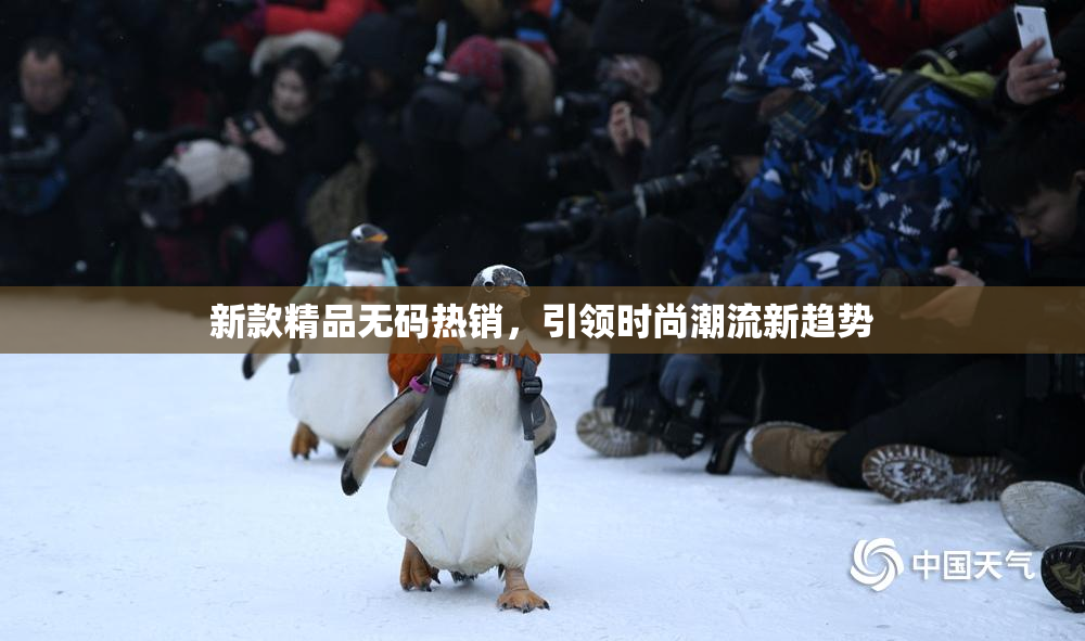 新款精品无码热销，引领时尚潮流新趋势