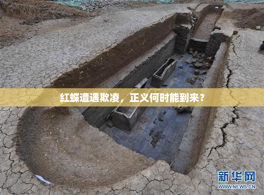 红蝶遭遇欺凌，正义何时能到来？