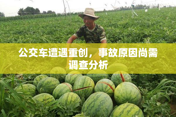 公交车遭遇重创，事故原因尚需调查分析