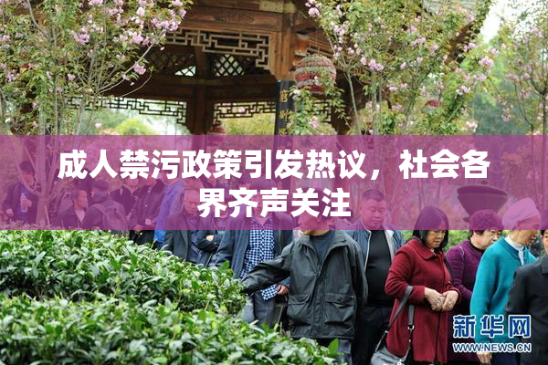 成人禁污政策引发热议，社会各界齐声关注