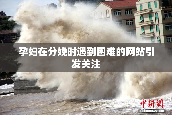 孕妇在分娩时遇到困难的网站引发关注