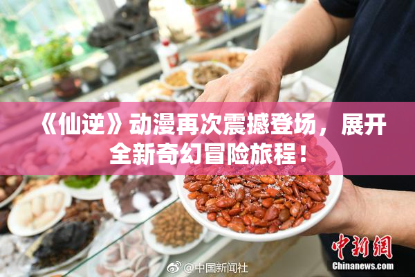 《仙逆》动漫再次震撼登场，展开全新奇幻冒险旅程！