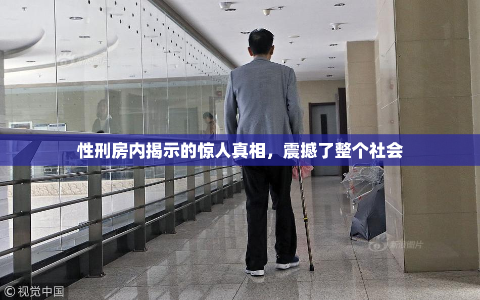 性刑房内揭示的惊人真相，震撼了整个社会