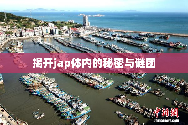 揭开jap体内的秘密与谜团