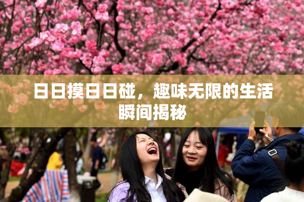 日日摸日日碰，趣味无限的生活瞬间揭秘