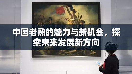 中国老熟的魅力与新机会，探索未来发展新方向