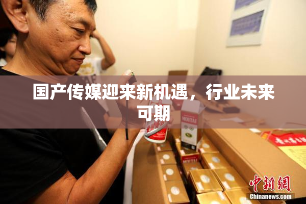 国产传媒迎来新机遇，行业未来可期